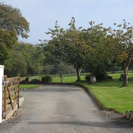 Penzion East Hook Farmhouse Haverfordwest Exteriér fotografie